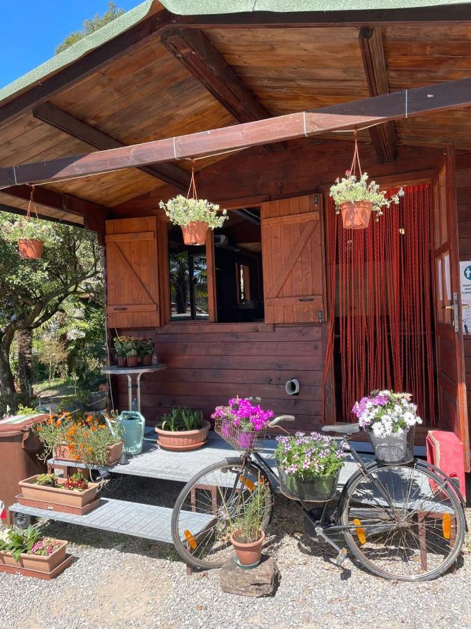 奥尔科费利诺 Agricamping Le Terrazze酒店 外观 照片